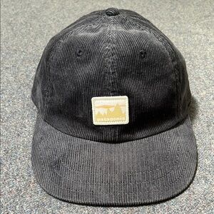 Patagonia Corduroy Cap SnapBack hat Blue